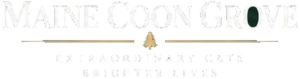Maine Coon Grove