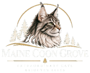 Maine Coon Grove